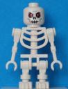 skeleton2.jpg