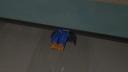 ctf_well0002.jpg