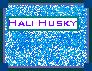 halihuskyav.png