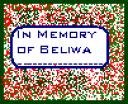 beliwa_memory.bmp