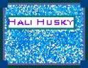 halihuskyav.png