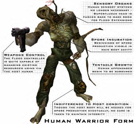 warrior_form_human2.png