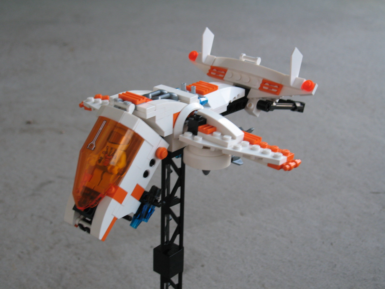 awasp1.jpg