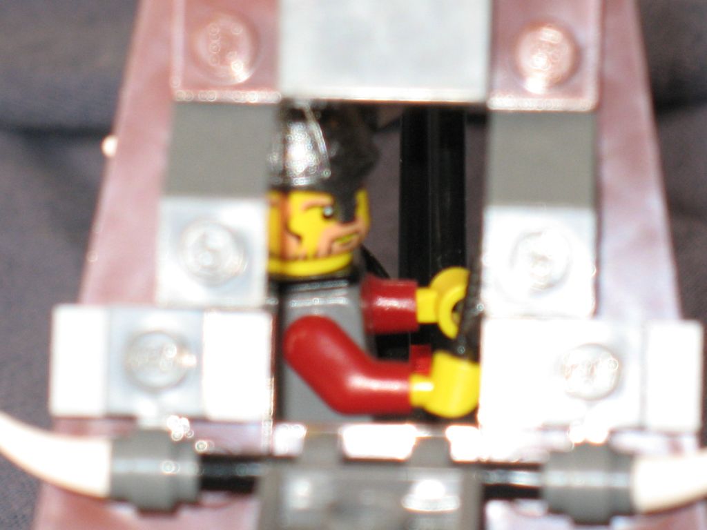 viking013.jpg