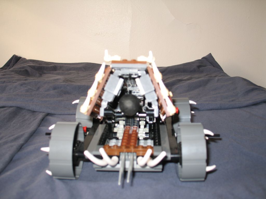 viking023.jpg