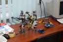 dsc08051.jpg