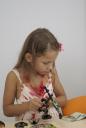 dsc08629.jpg