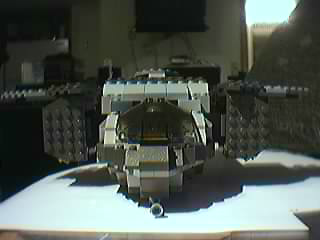 pelican1.jpg