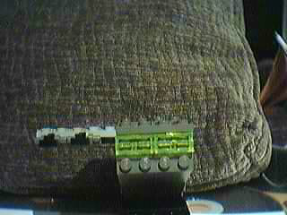 pelican10.jpg