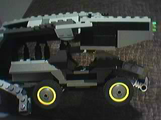 pelican11.jpg