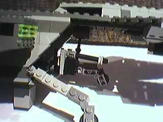 pelican16.jpg