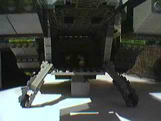 pelican4.jpg