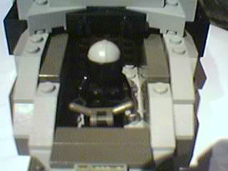 pelican8.jpg