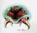 Metroid