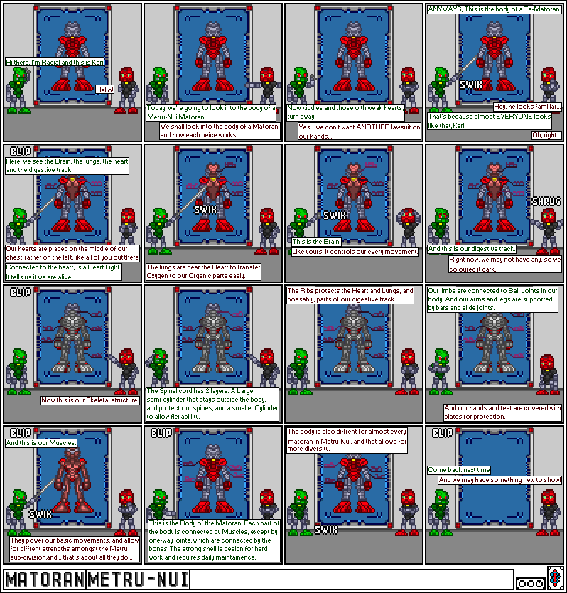 matoran-metru.gif