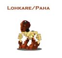 lohkare-paha.bmp