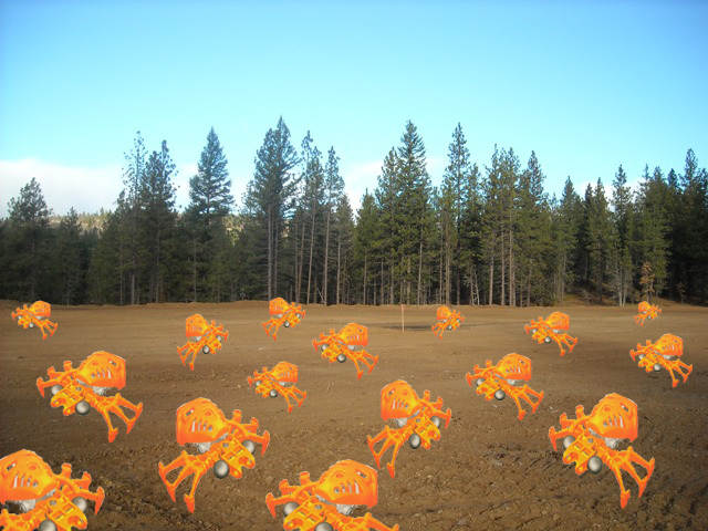 fikou_swarm.jpg