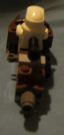 back.jpg