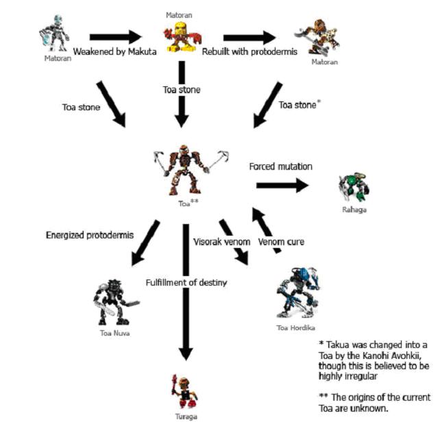 matoran_evolution_1.jpg