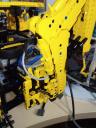 cat_434e_wip_05.jpg
