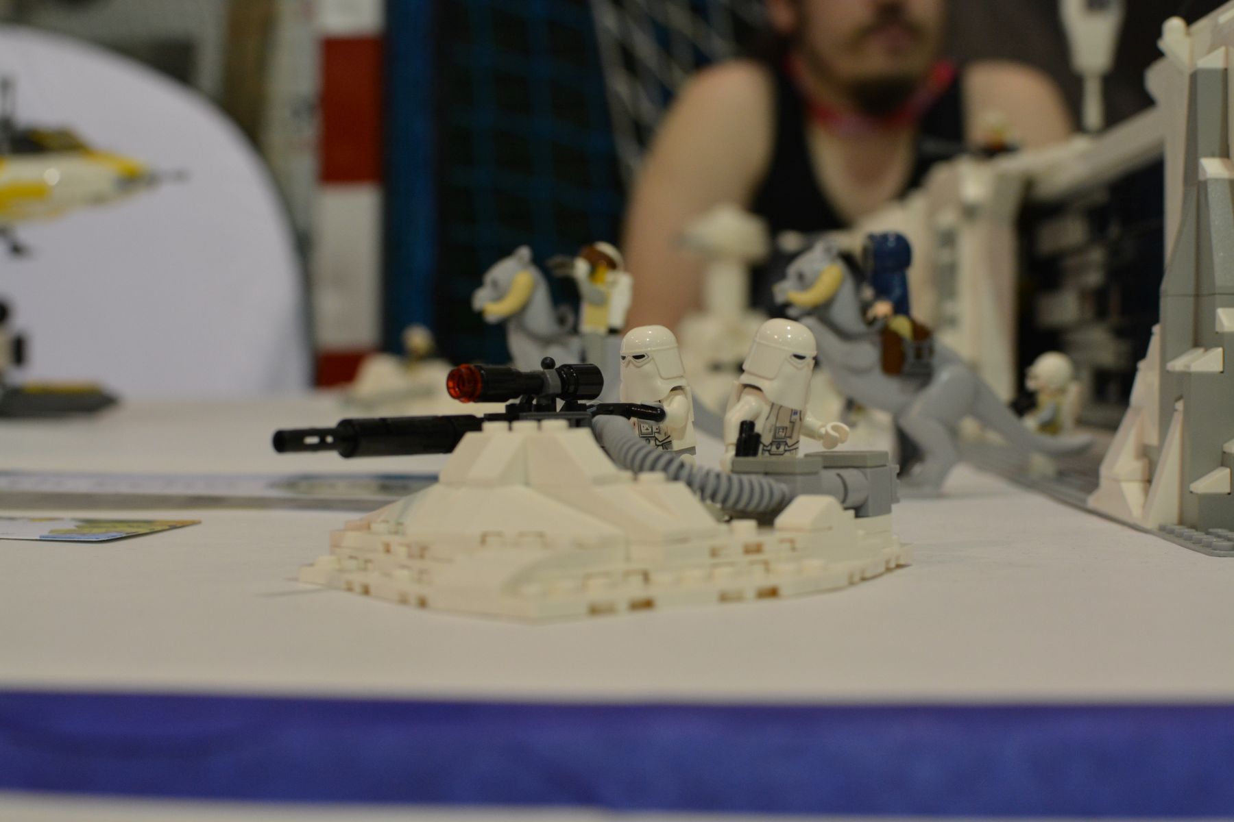 dsc_0987.jpg