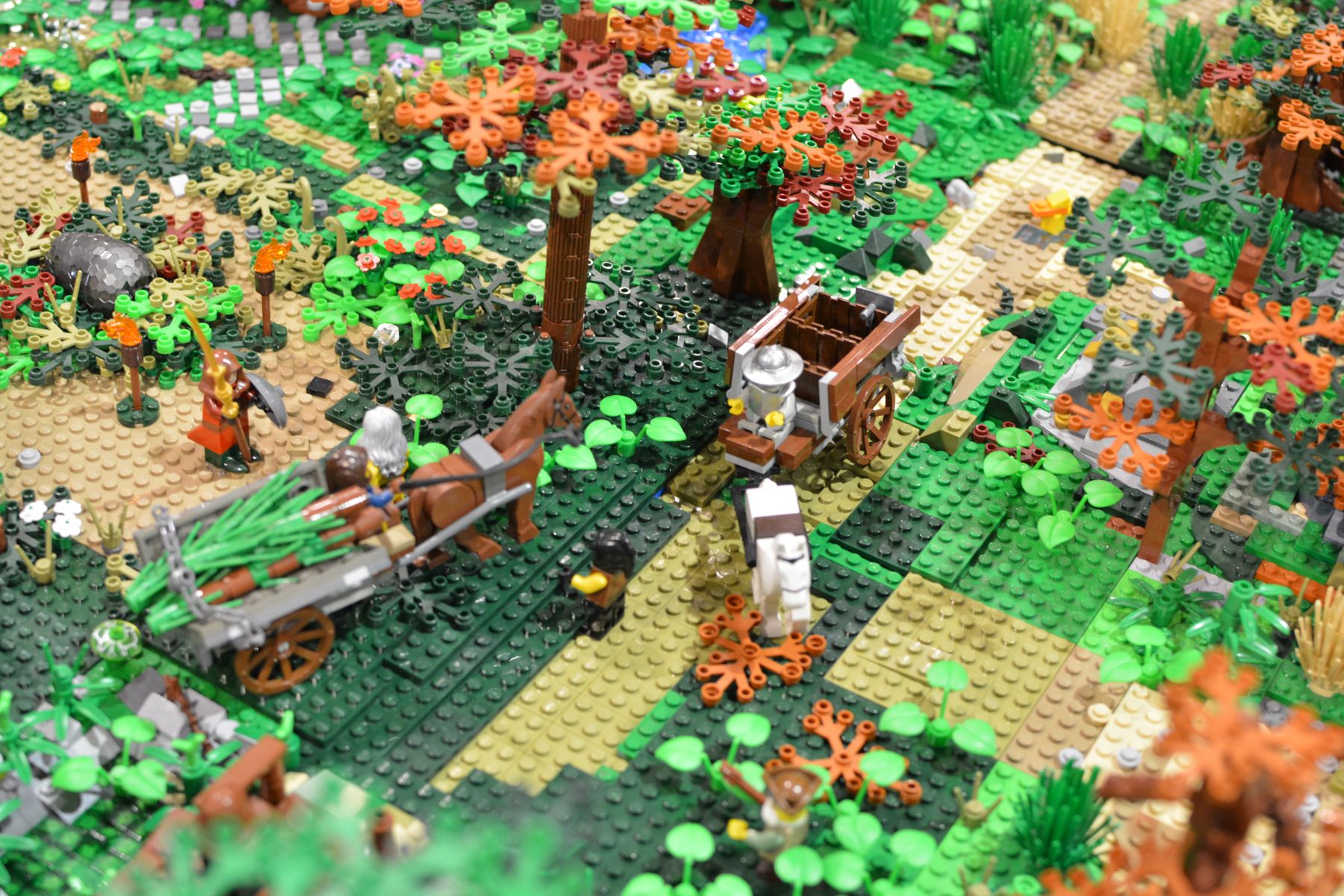 dsc_1008.jpg
