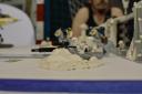 dsc_0987.jpg
