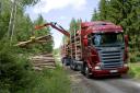 scania_r620_001.jpg