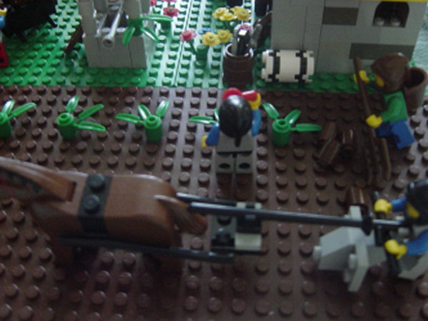 farming.jpg