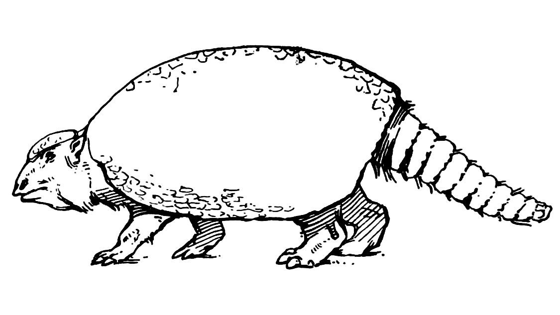 Taurika_Sphere_Inspiration.png