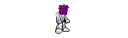 ptsb.gif