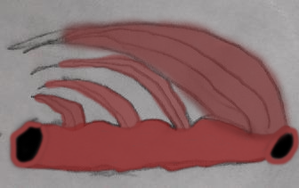 razorgauntlet2.png