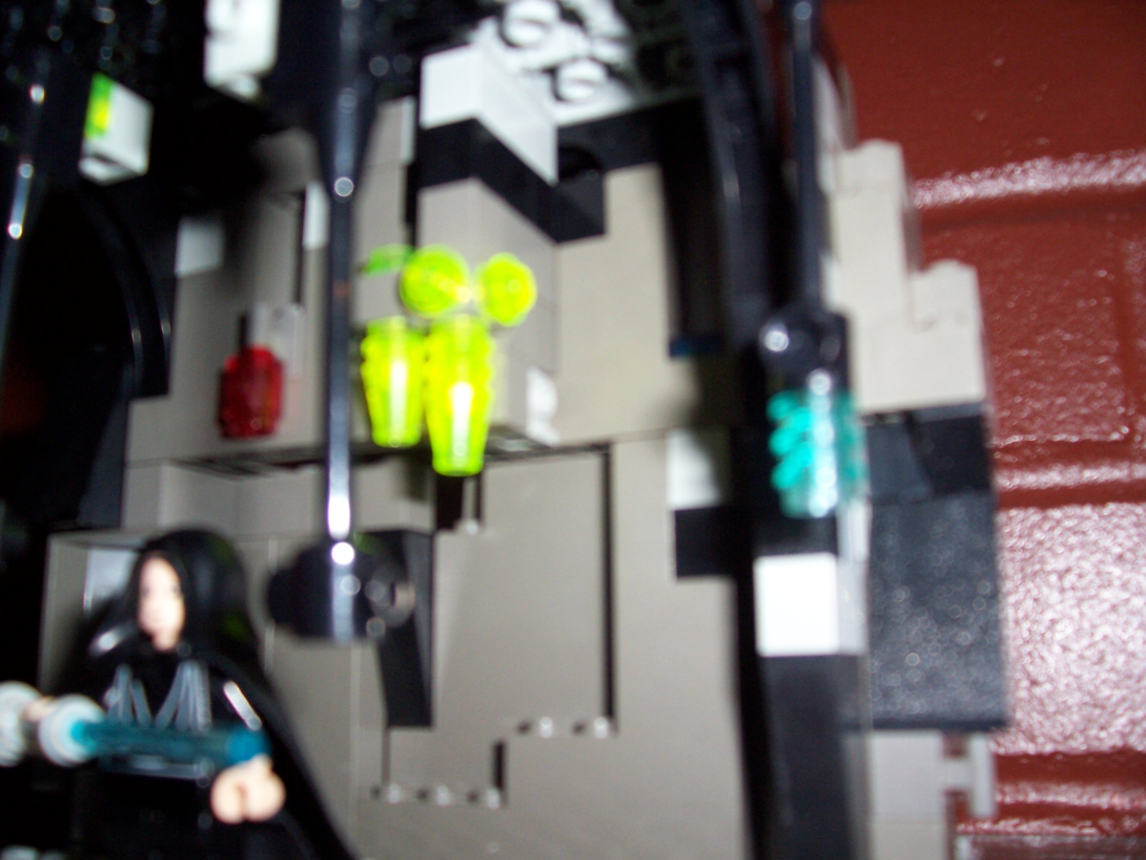 100_0789.jpg