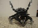 roachfront.jpg
