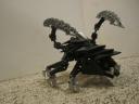 roachfrontright.jpg