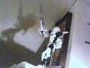 picture_106.jpg