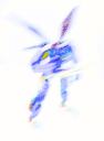 dsc00775.jpg
