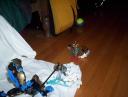 100_6742.jpg