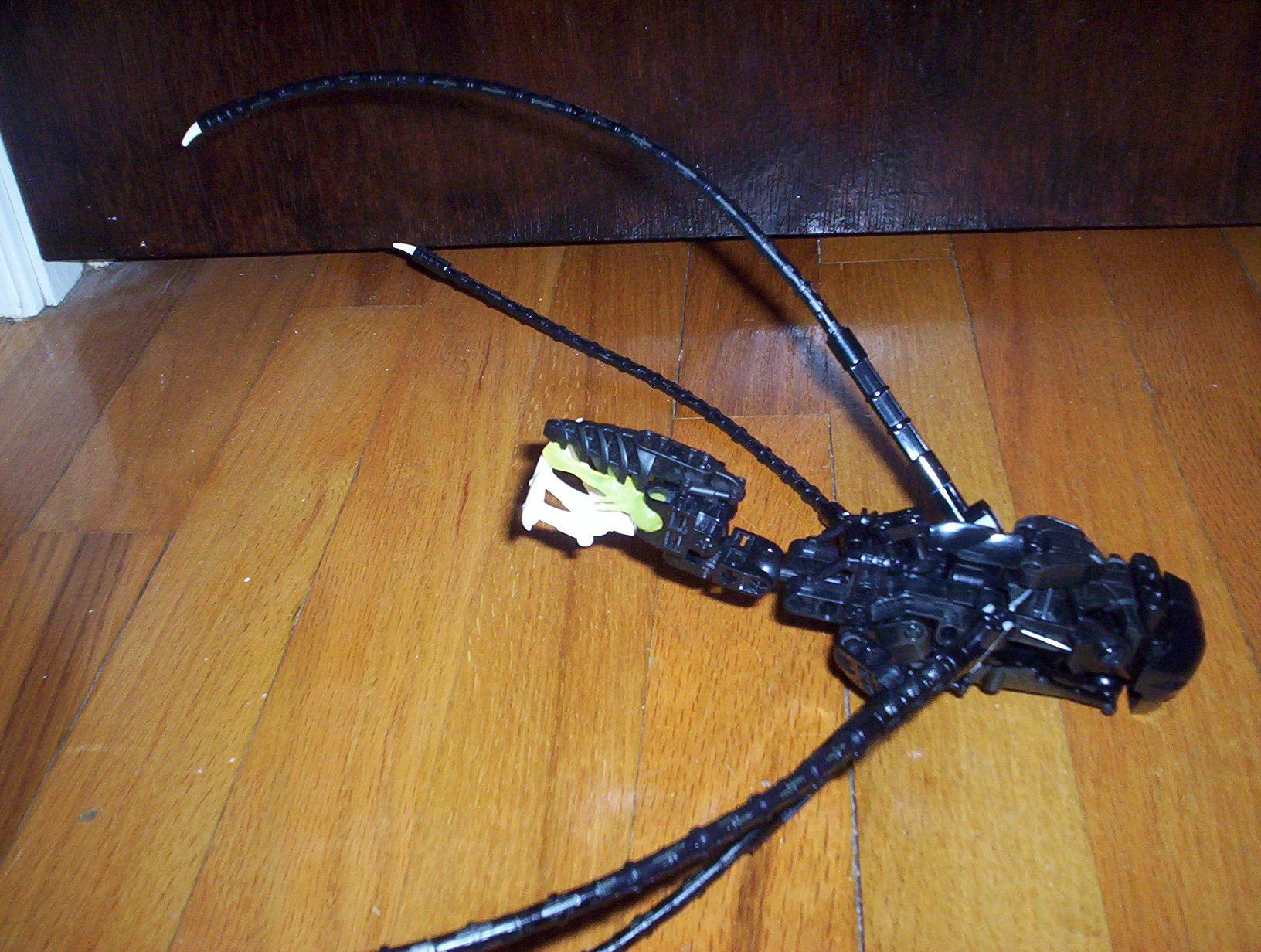 100_7574.jpg