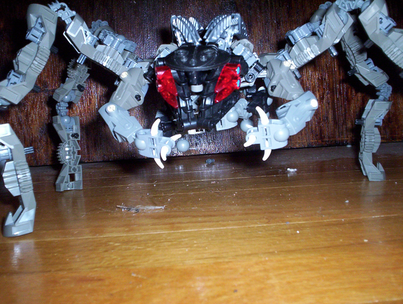 100_6479.jpg