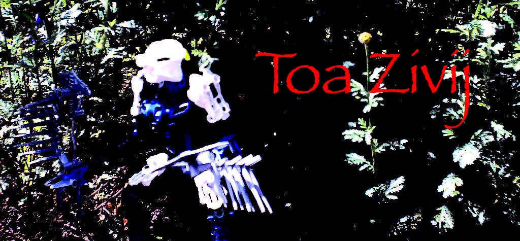 toa_zivij_banner.jpg