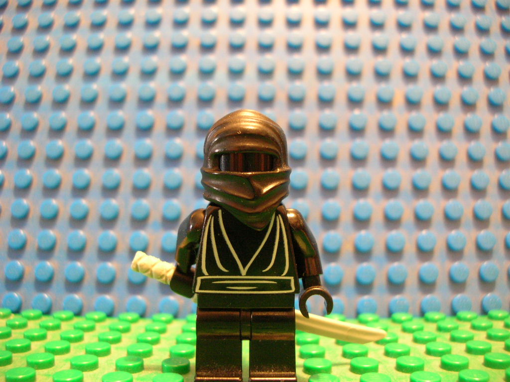 ninja.jpg