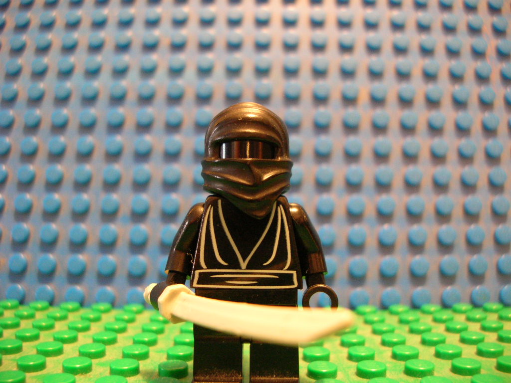 ninja2.jpg