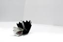 060718_m_mg_2154.jpg