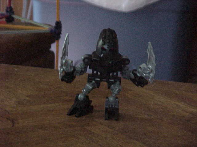 main_pic.jpg