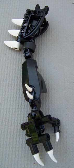 08.jpg