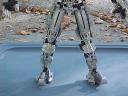 mvc-003f.jpg