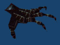 real_thing.jpg