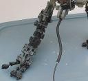 mvc-010f.jpg