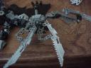 zorrakh-wing.jpg